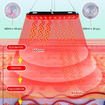Panel de Terapia de Luz Roja LED 660nm + 850nm — BestLife